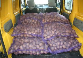 We were donated 500 kilos of organic potatoes.